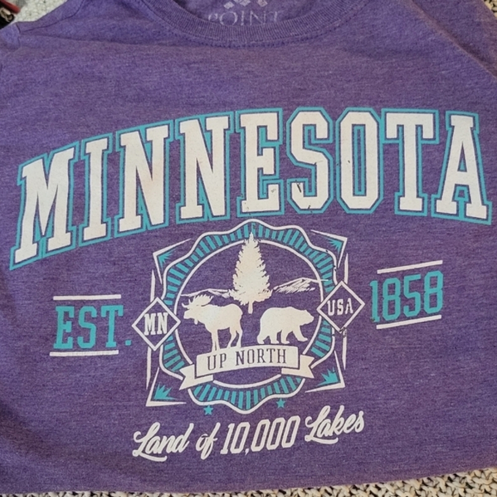 Minnesota Up North, 10,000 Lakes T-Shirt, Purple Teal M